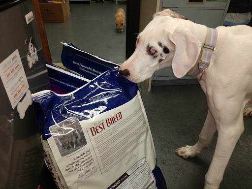 Dog Trainer «Mad 4 My Dog», reviews and photos, 702 E Temperance St, Ellettsville, IN 47429, USA