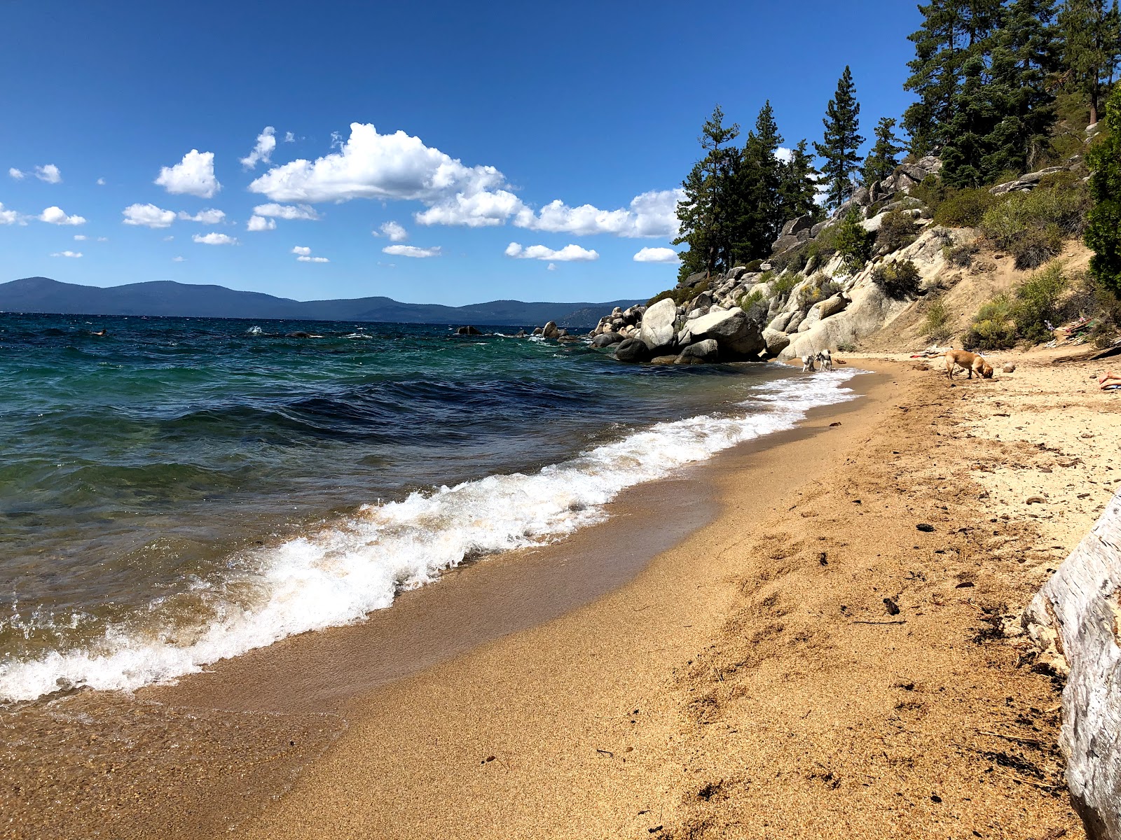 Foto di Secret Harbor Beach con molto pulita livello di pulizia
