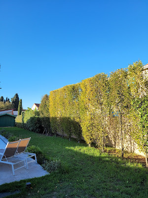 Stéphane et jardins à Toulouse