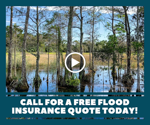 Insurance Agency «Southshore Insurance Professionals, LLC», reviews and photos