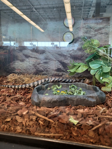 Pet Supply Store «Petco Animal Supplies», reviews and photos, 2373 W Ridge Rd, Greece, NY 14626, USA