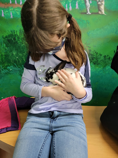 Pet Store «Pets Plus - Quakertown», reviews and photos, 117 S West End Blvd, Quakertown, PA 18951, USA