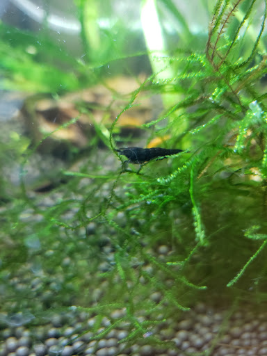 Pet Supply Store «Petco Animal Supplies», reviews and photos, 4751 W 29th St, Greeley, CO 80634, USA