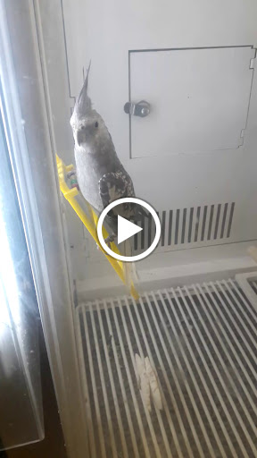 Pet Supply Store «Petco Animal Supplies», reviews and photos, 2565 NE 10th Ct, Homestead, FL 33035, USA