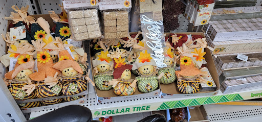 Dollar Store «Dollar Tree», reviews and photos, 3121 Ross Clark Cir #2, Dothan, AL 36303, USA