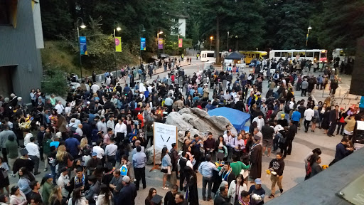 Book Store «Bay Tree Bookstore», reviews and photos, 420 Hagar Dr, Santa Cruz, CA 95064, USA