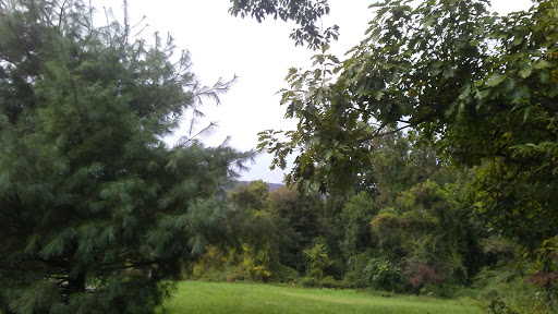 Nature Preserve «Boyd Big Tree Preserve Conservation Area», reviews and photos, Fishing Creek Valley Rd, Harrisburg, PA 17112, USA