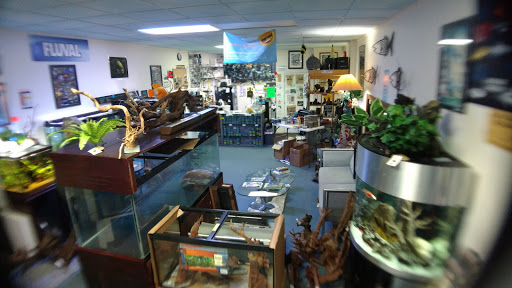 Aquarium Shop «Something Fishy Inc.», reviews and photos, 4764 State Rd, Cleveland, OH 44109, USA