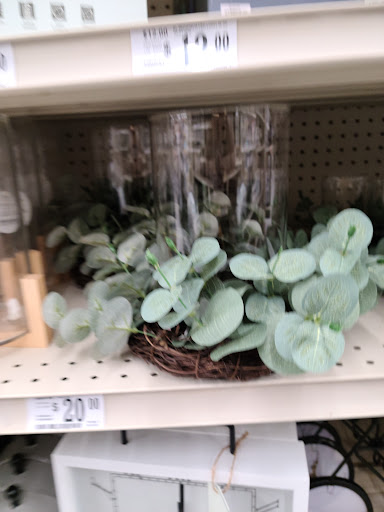 Discount Store «Big Lots», reviews and photos, 204 S Randall Rd, Elgin, IL 60123, USA