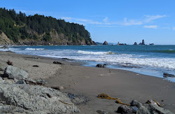 Foto von Third Beach Quileute Res. wilde gegend