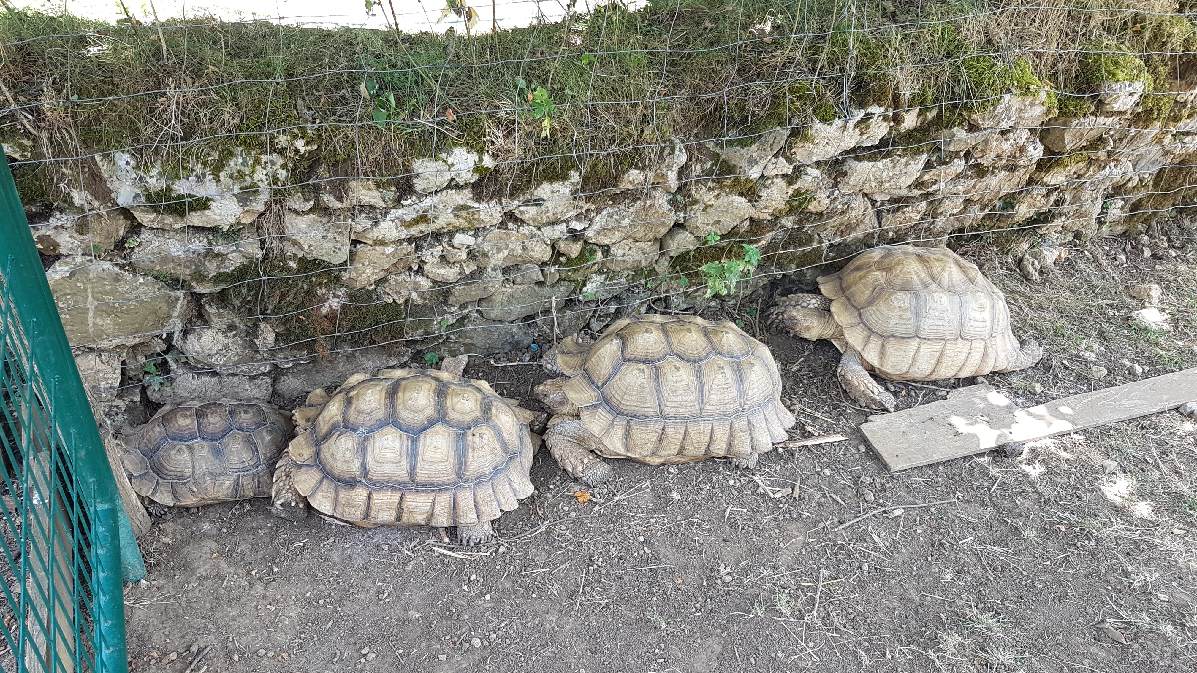 Photo n° 3 de l'avis de Claude.h fait le 27/07/2019 à 11:05