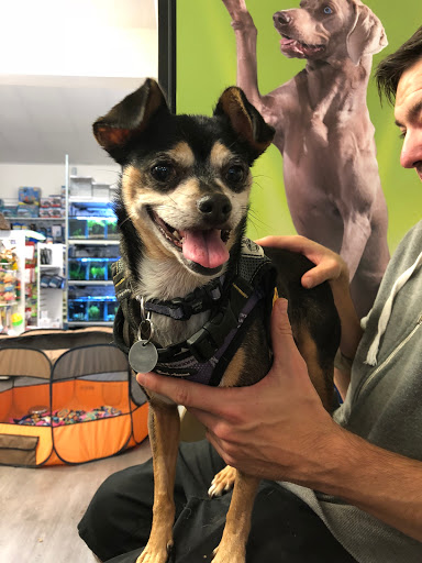 Pet Supply Store «Sonoma Pet and Aquatics», reviews and photos, 201 W Napa St #7, Sonoma, CA 95476, USA