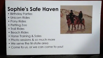 Sophie's Safe Haven LLC