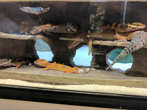 Pet Supply Store «Petco Animal Supplies», reviews and photos, 377 W Jackson St #11, Cookeville, TN 38501, USA