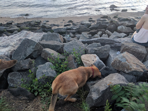 Park «Bushwick Inlet Park», reviews and photos, Kent Ave, Brooklyn, NY 11249, USA