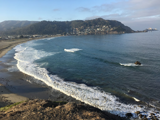 Surf lifesaving club Oakland