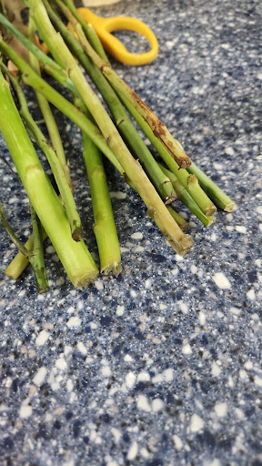 Gift Shop «Edible Arrangements», reviews and photos, 20669 W Lake Houston Pkwy e, Humble, TX 77346, USA