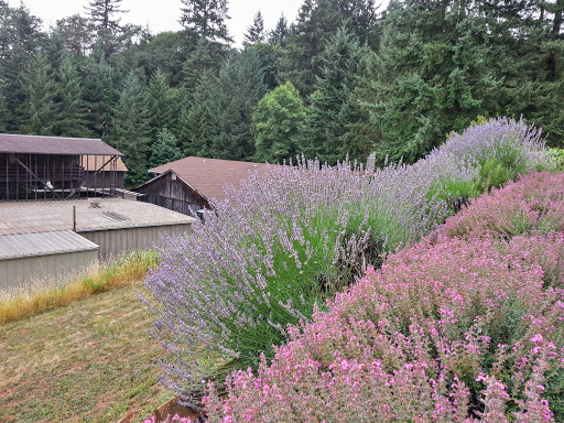 Winery «Erath Winery», reviews and photos, 9409 Northeast Worden Hill Road, Dundee, OR 97115, USA