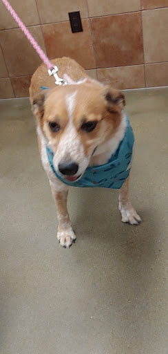 Pet Supply Store «PetSmart», reviews and photos, 16925 N Marketplace Blvd, Nampa, ID 83687, USA