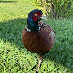 Photo n°8 de l'avis de Bengü.o fait le 22/08/2023 à 11:42 sur le  San Clemente Palace Kempinski Venice à Venice