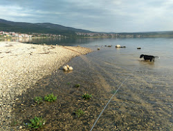 Susnjari beach'in fotoğrafı çok temiz temizlik seviyesi ile