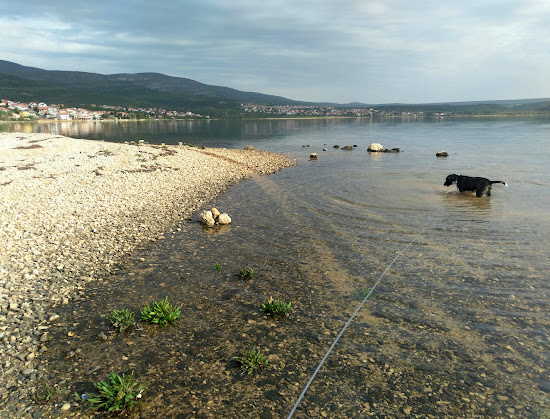 Susnjari beach