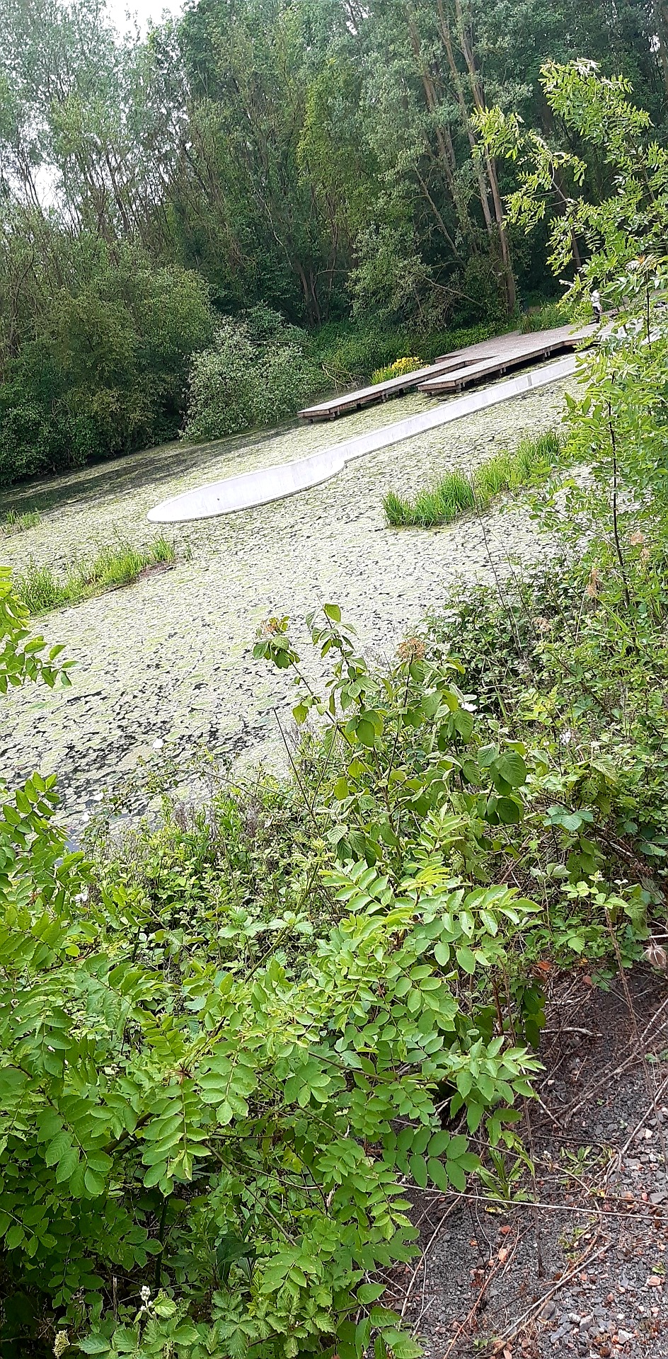 Photo n° 14 de l'avis de Lore.e fait le 24/05/2020 à 16:12
