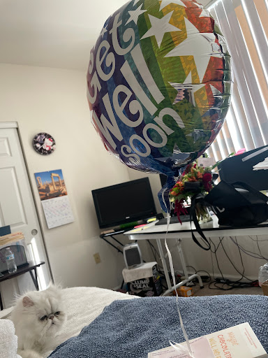 Florist «Mainstreet Flower Market», reviews and photos, 19555 Mainstreet a, Parker, CO 80138, USA