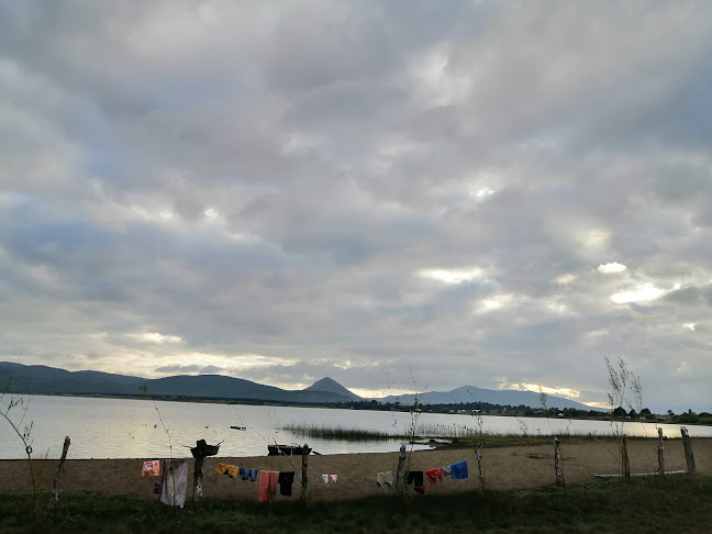 Comentarios y opiniones de Camping y Cabañas orillas del lago Galletué