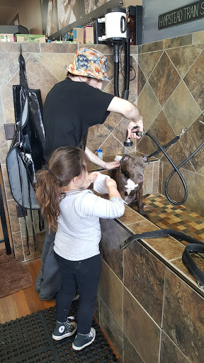 Pet Supply Store «Pet Valu», reviews and photos, 2315 Hanover Pike, Hampstead, MD 21074, USA