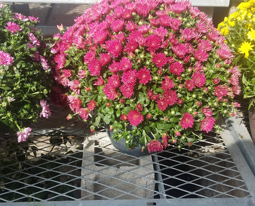 Home Improvement Store «The Home Depot», reviews and photos, 4447 US-14, Crystal Lake, IL 60014, USA