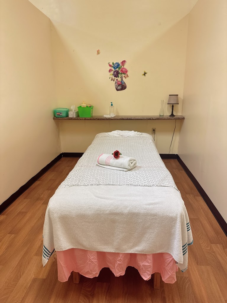 Dreamer Spa 53151