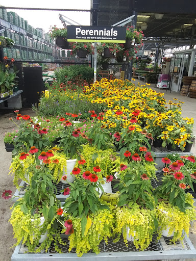 Home Improvement Store «The Home Depot», reviews and photos, 1100 Liberty Park Dr, Hurricane, WV 25526, USA