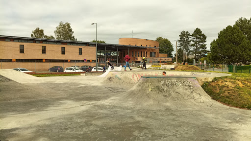 Skatepark de Lomme