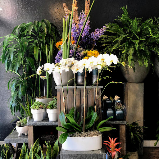 Florist «Bloem Decor», reviews and photos, 1016 10th St, Sacramento, CA 95814, USA