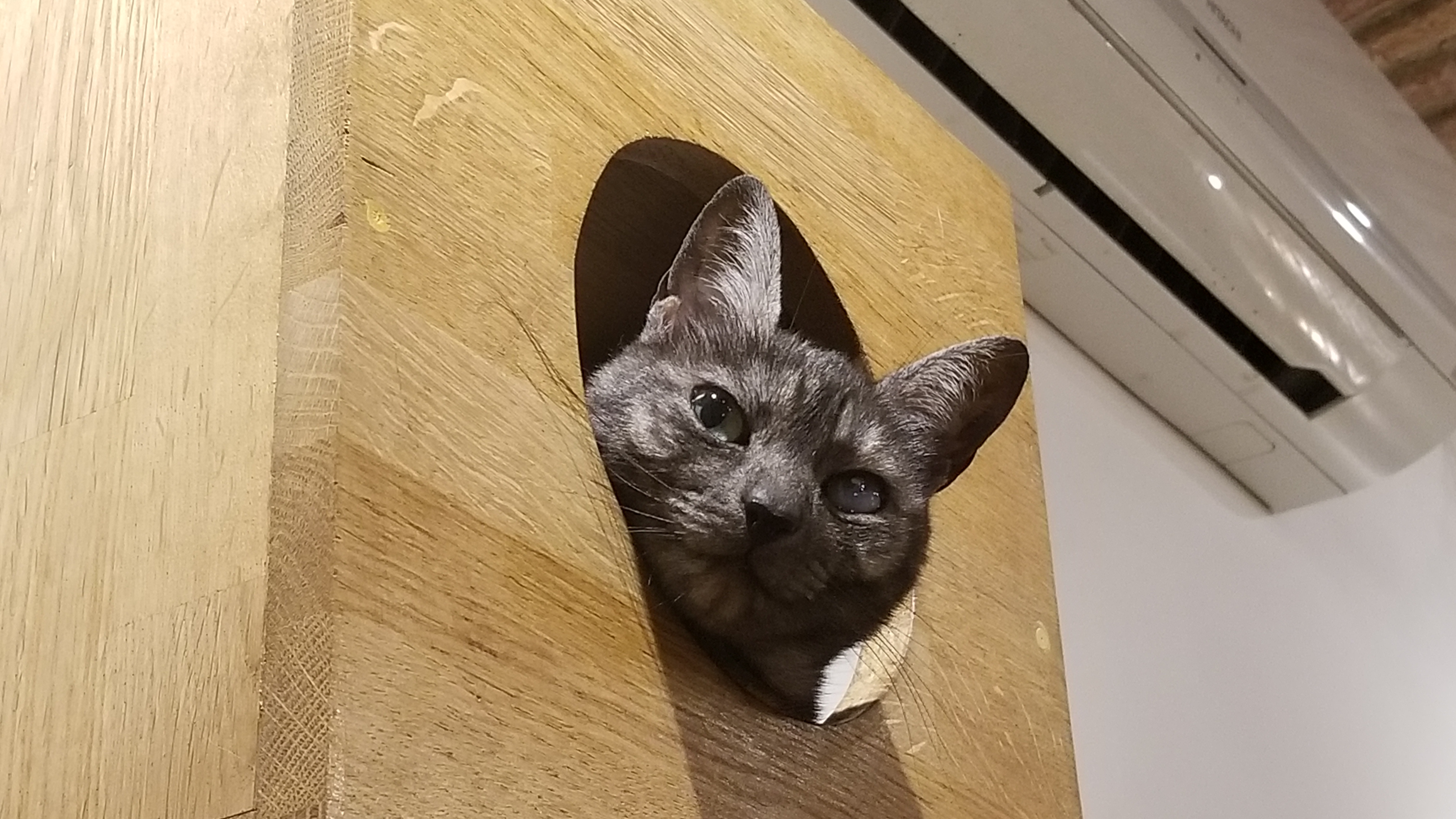 Photo n° 6 de l'avis de Solenn.e fait le 24/07/2020 à 20:27