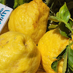 Photo n°9 de l'avis de Raul.u fait le 25/04/2023 à 12:30 sur le  Pizzeria Napoli In Bocca à Naples