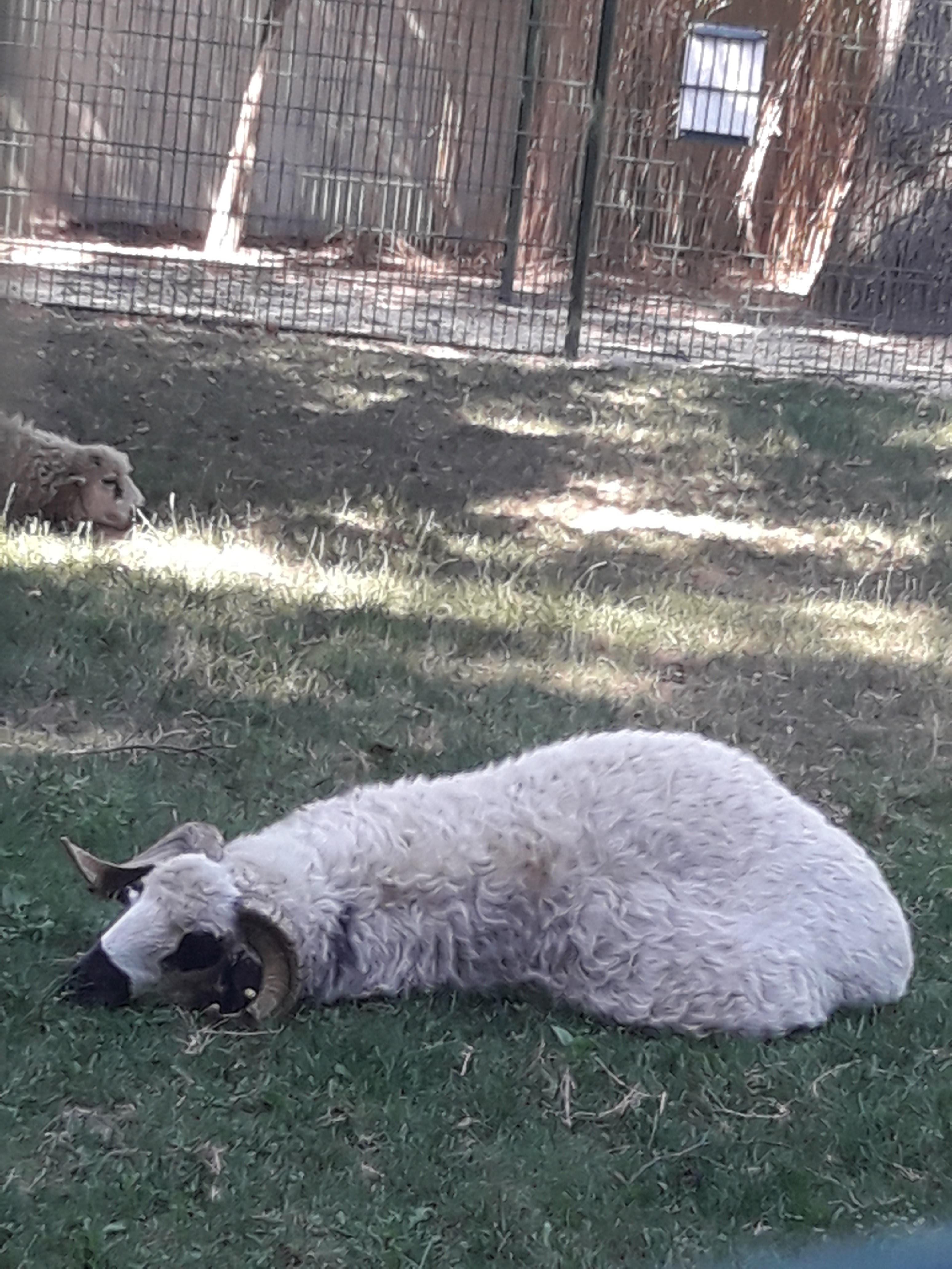 Photo n° 1 de l'avis de Lionel.a fait le 29/06/2019 à 10:44