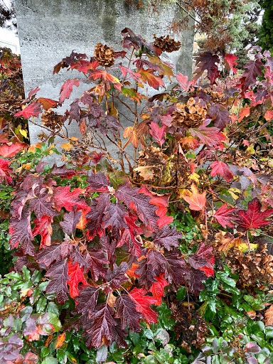 Park «Kirke Park», reviews and photos, 7028 9th Ave NW, Seattle, WA 98117, USA