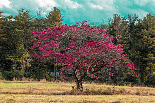 Park «Norristown Farm Park», reviews and photos, 2500 Upper Farm Rd, Norristown, PA 19403, USA