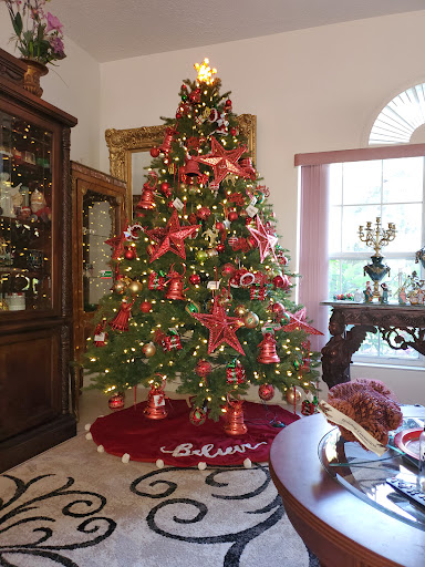 Pet Supply Store «Petco Animal Supplies», reviews and photos, 7223 Coastal Blvd, Brooksville, FL 34613, USA