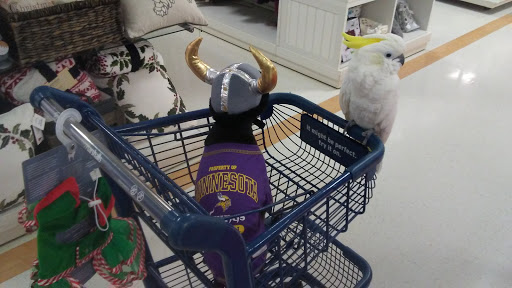 Department Store «Marshalls», reviews and photos, 3975 Cascades Blvd, Kent, OH 44240, USA