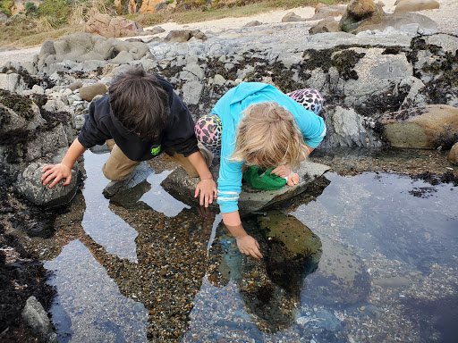 Swimming School «Adventure Sports Unlimited», reviews and photos, 303 Potrero St #15, Santa Cruz, CA 95060, USA