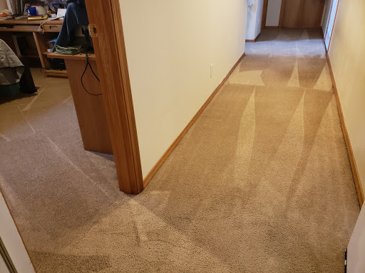 Green Steam Carpet Clean