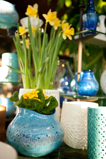 Gift Shop «NYBG Shop», reviews and photos, 2900 Southern Blvd, Bronx, NY 10458, USA