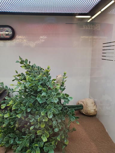 Pet Supply Store «Pet Supplies Plus», reviews and photos, 135-25 79th St, Howard Beach, NY 11414, USA