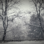 Photo n°11 de l'avis de Francesco.c fait le 03/01/2020 à 19:18 sur le  Hotel del Lago Ampollino à Cotronei