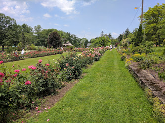 Rose Garden at Renziehausen Park