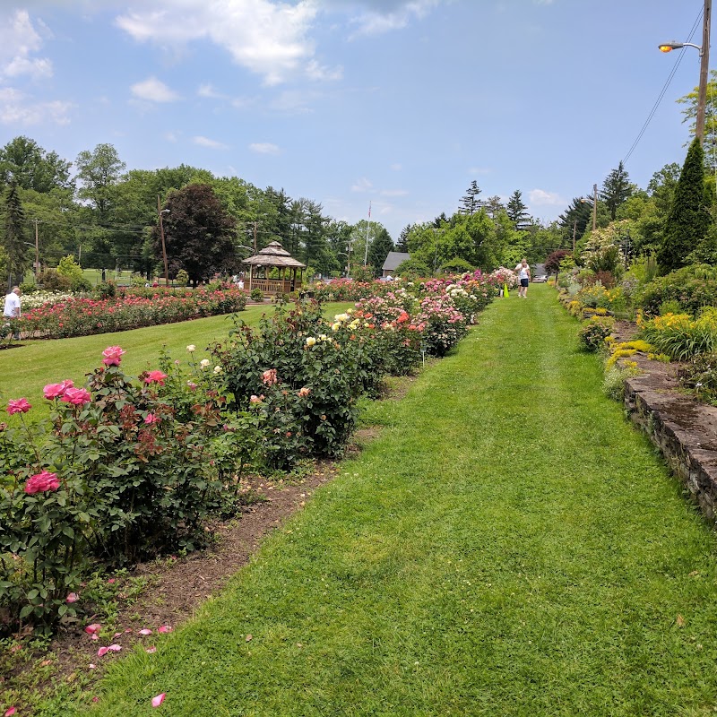 Rose Garden at Renziehausen Park