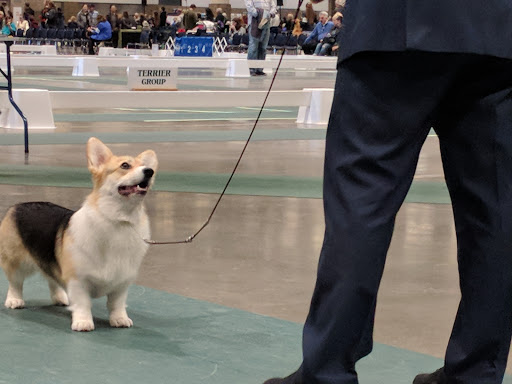 Performing Arts Theater «WaMu Theater», reviews and photos, 800 Occidental Ave S, Seattle, WA 98134, USA